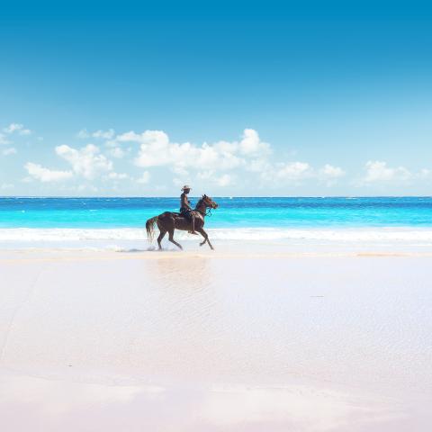 man on horse on beach