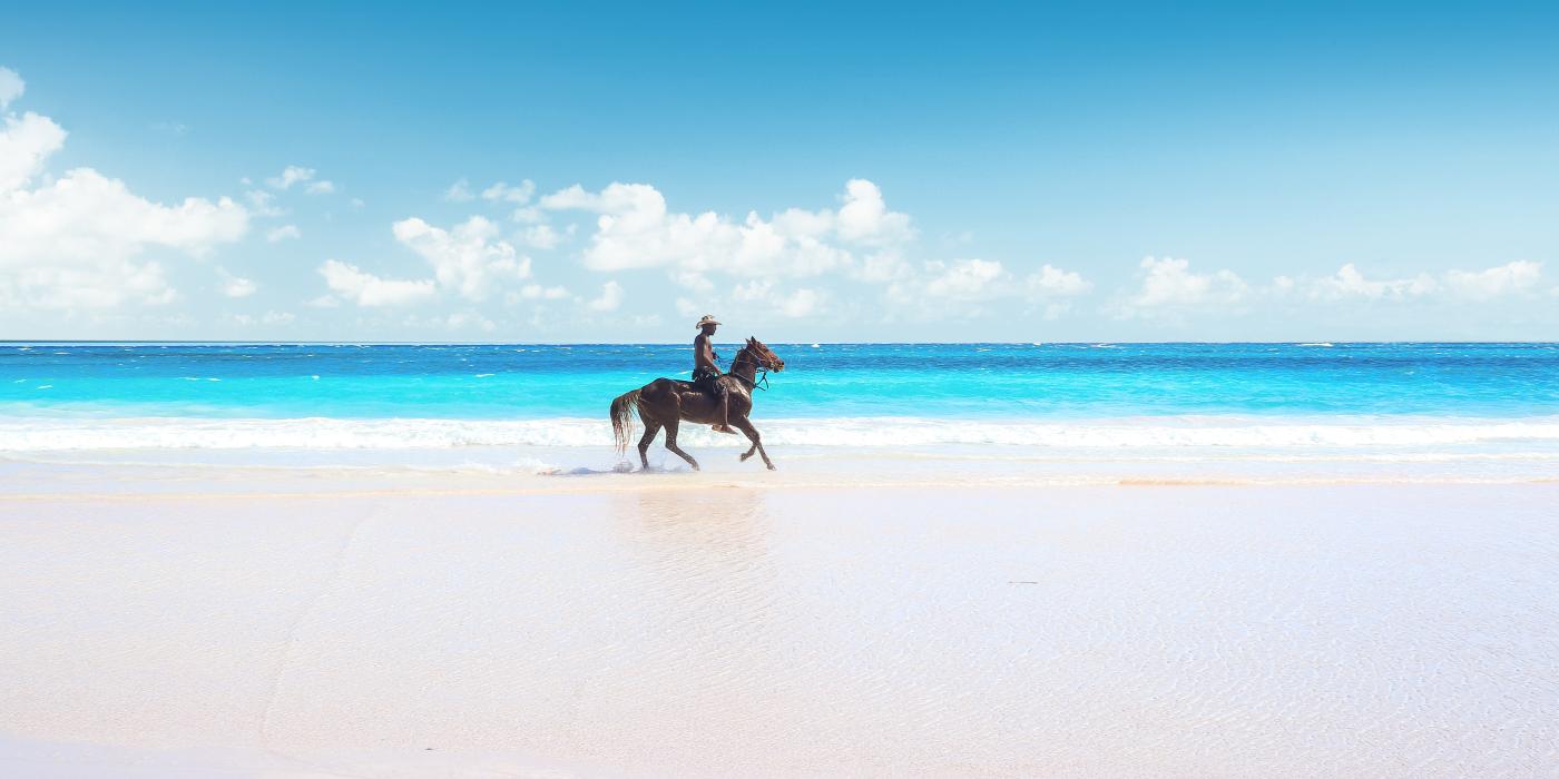 man on horse on beach