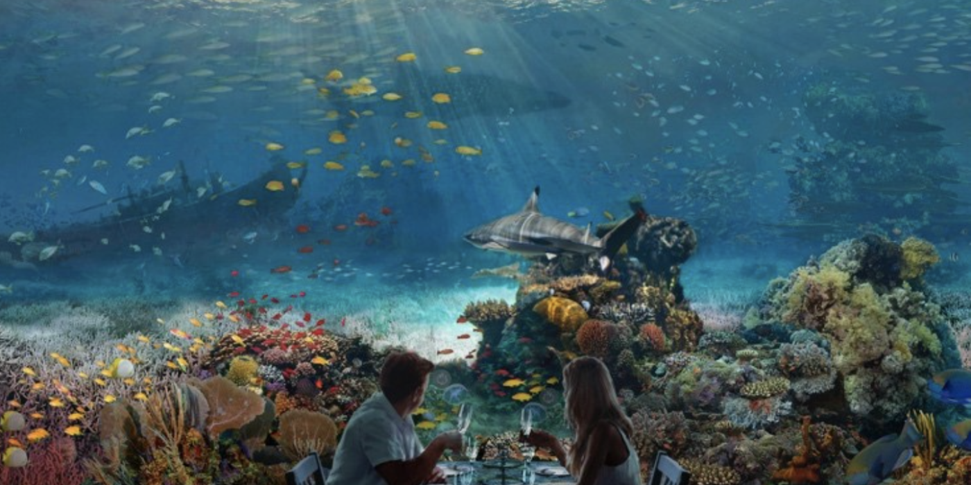 immersive ocean conservation dining experience