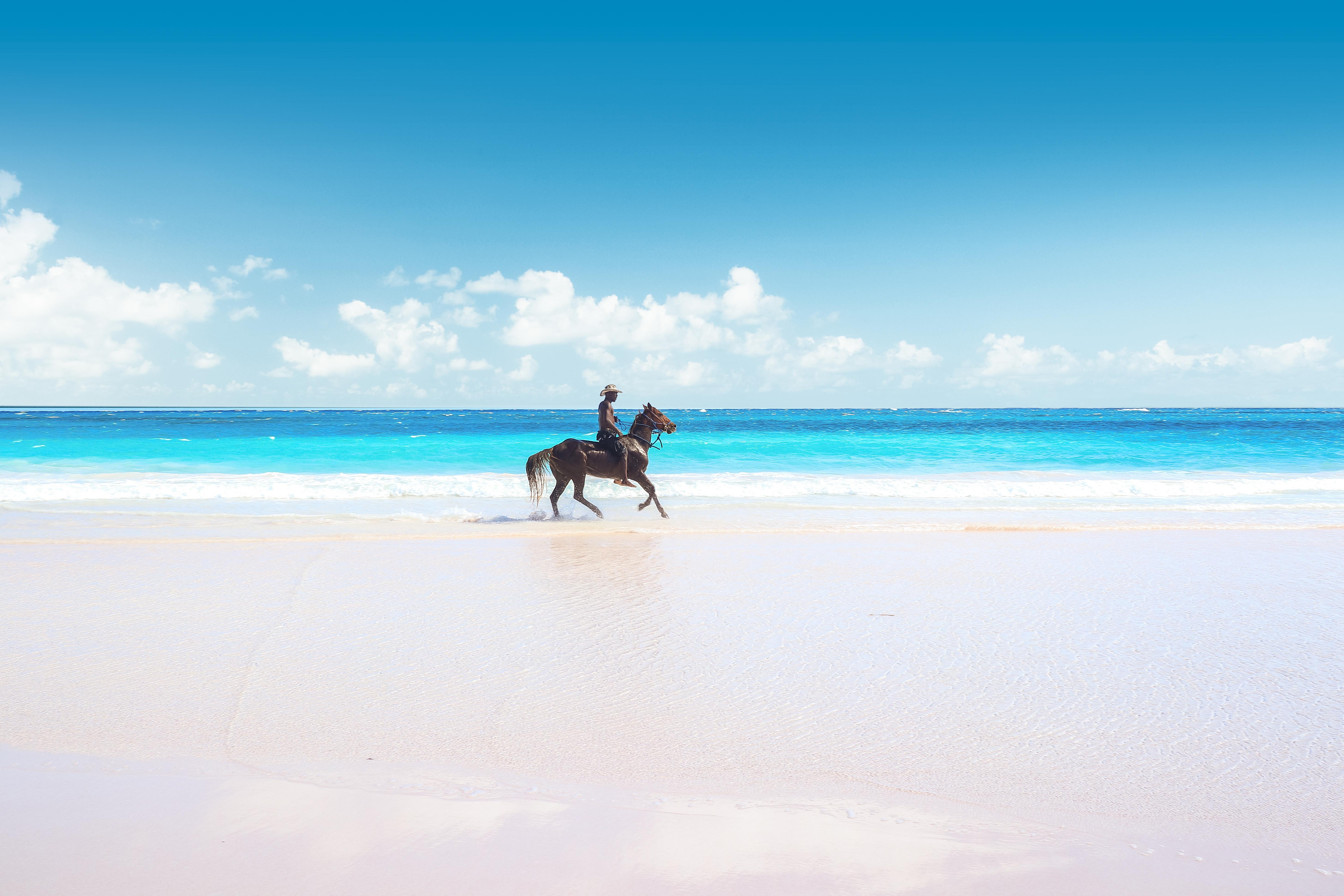 man on horse on beach