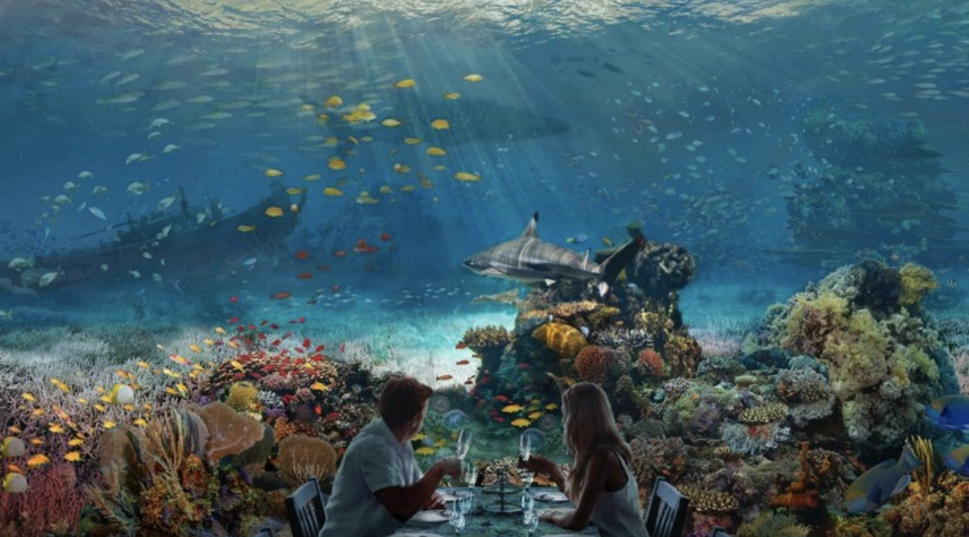 immersive ocean conservation dining experience