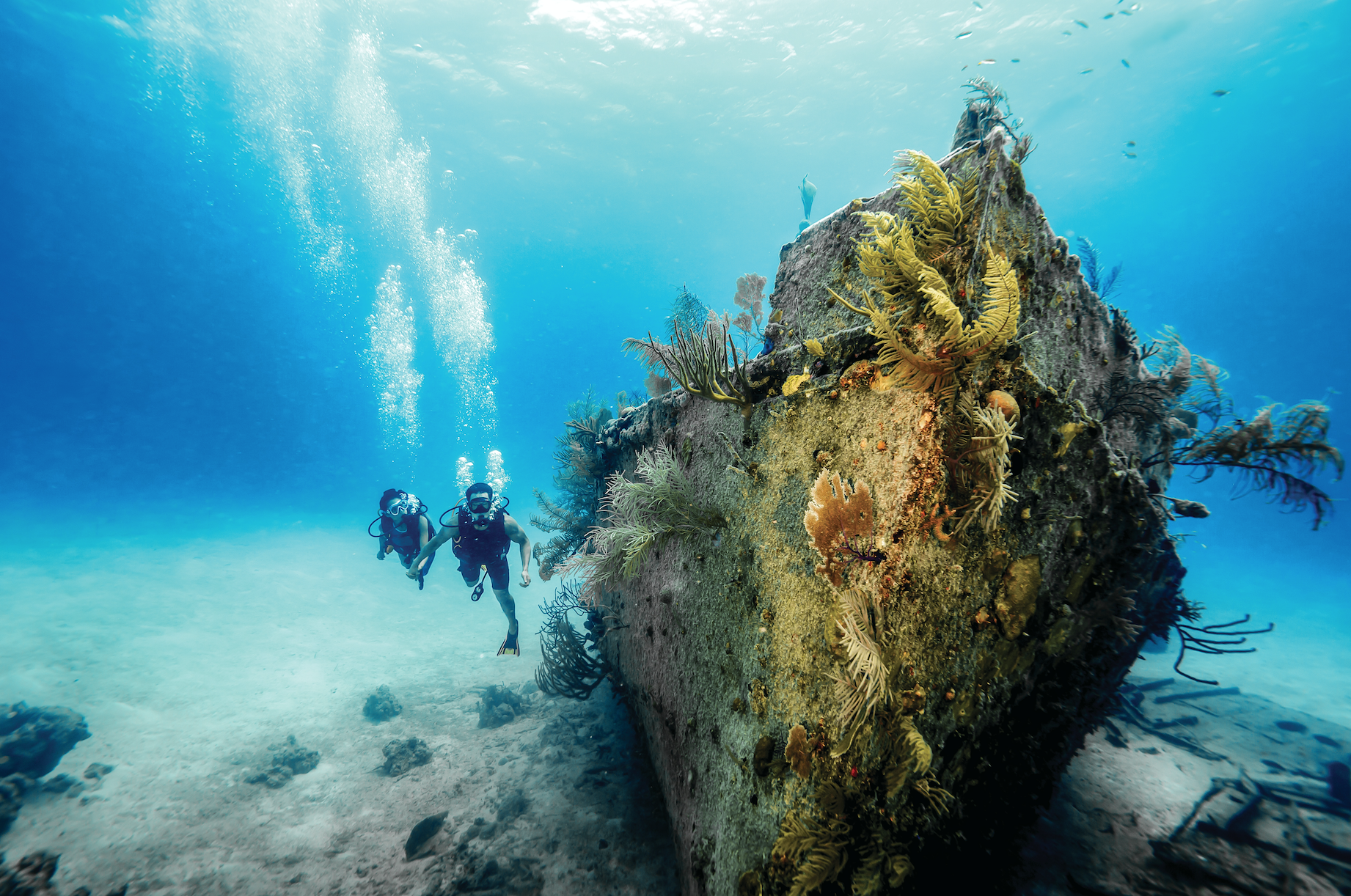 The Bahamas A Scuba Diving Paradise Tourism Today